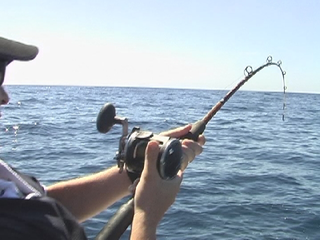 Loaded up on a 6kg Dhuie 28/10/06 Loaded up on a 6kg Dhuie 28/10/06