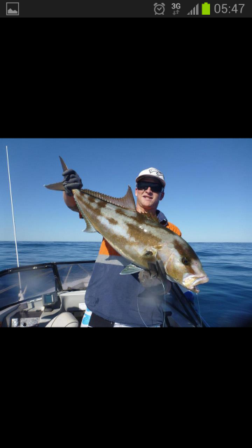 Jigged sambo Jigged sambo