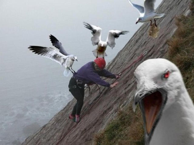 This might give you second thoughts the next time you go fishing off the rocks This might give you second thoughts the next time you go fishing off the rocks