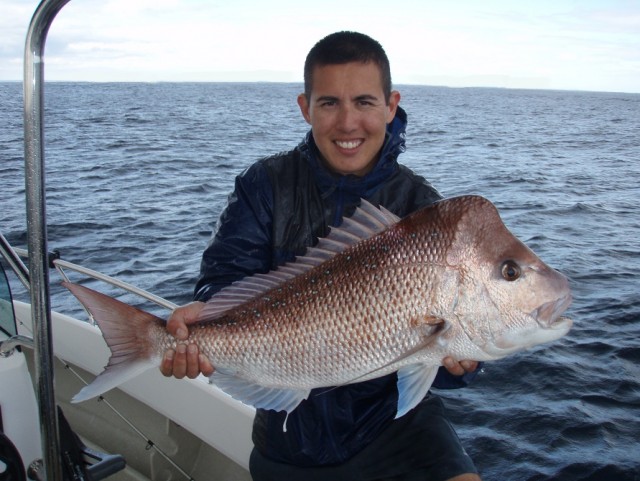 Old man Snapper 1 caught on 6lb gear (released)