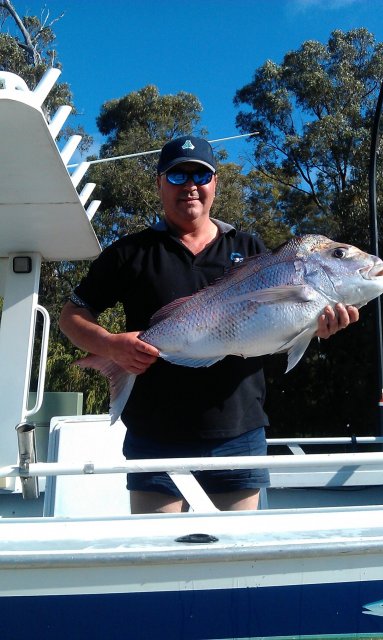 Nice Snapper Nice Snapper