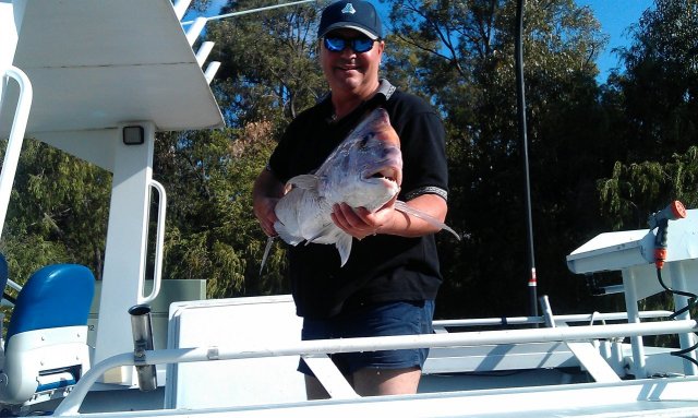 Snapper Snapper