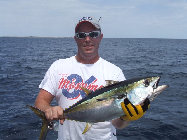 Tuna4 Tuna4