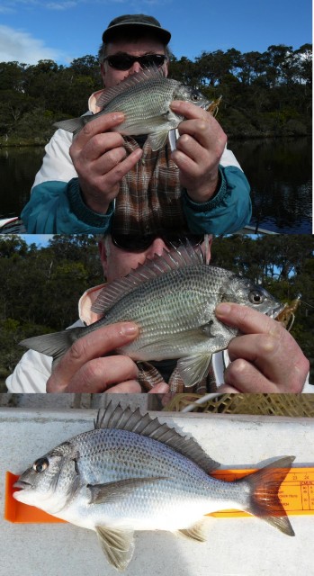 20080726 - Bream Fishing 6