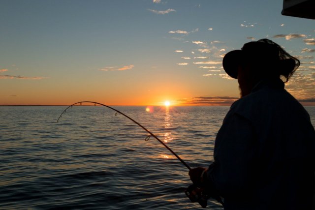 Hooked up just on sunset Hooked up just on sunset