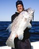 25/8/2012 JIGGED DHUIE