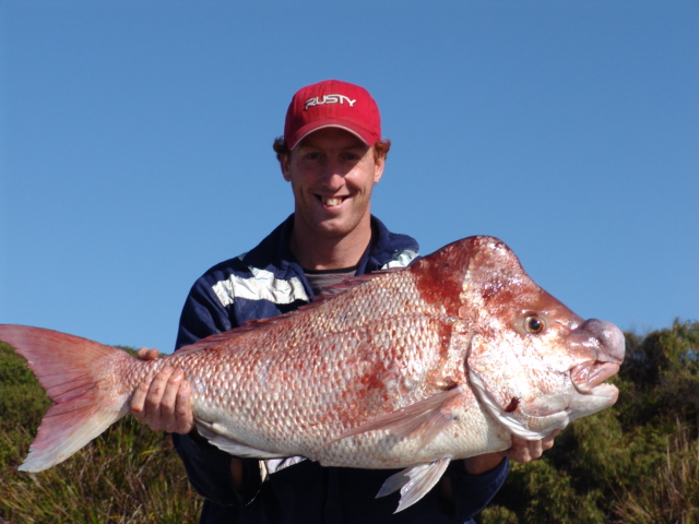 Cammmo's Pink Snapper
