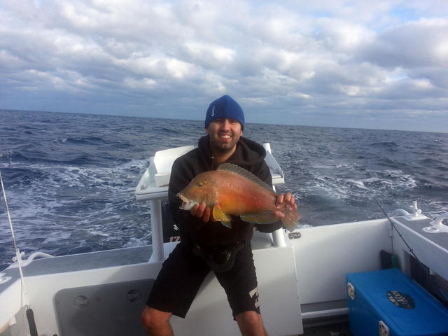 Little baldy Little baldy