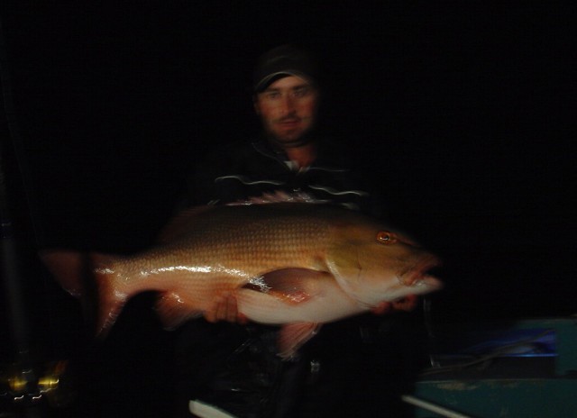 My Red Bass (bad photo quality) My Red Bass (bad photo quality)