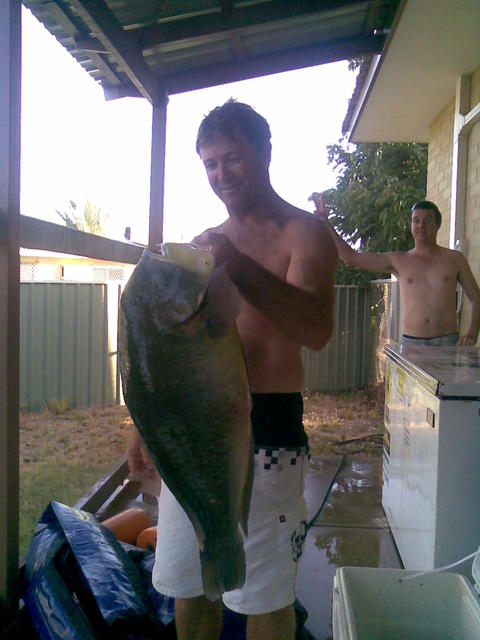 Scott's bluebone Scott's bluebone