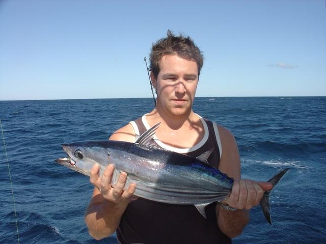 Stripey Tuna Stripey Tuna