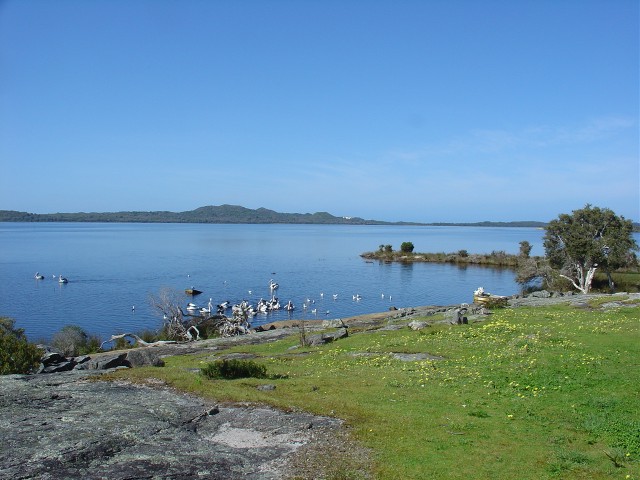 Breakfast for the Peli's Breakfast for the Peli's