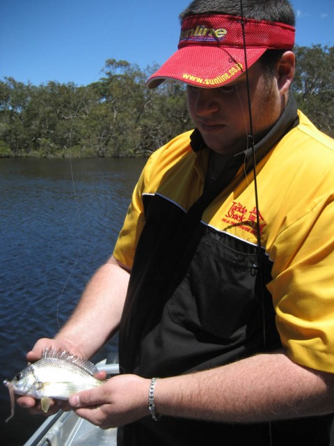 Snapback bream 1 Snapback bream 1