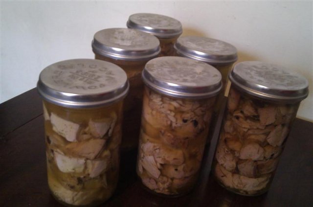 Canned Tuna Canned Tuna