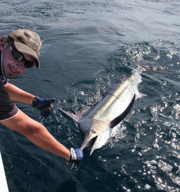 Catch n Release Catch n Release