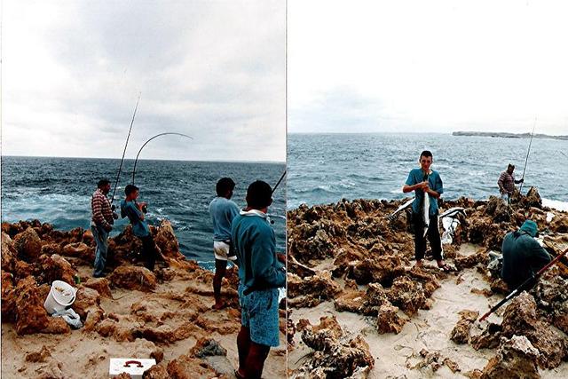 Cobia caught 15+ yrs ago faulse entrance Cobia caught 15+ yrs ago faulse entrance