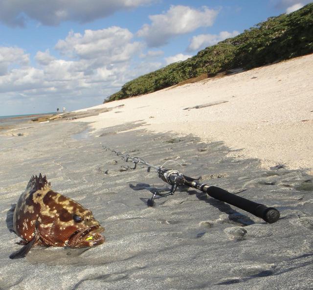 Beachcombing