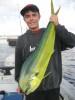Connors first dolphinfish