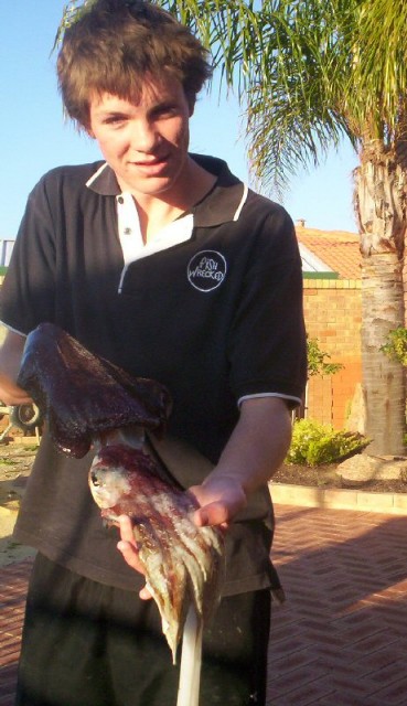 Cuttlefish Cuttlefish