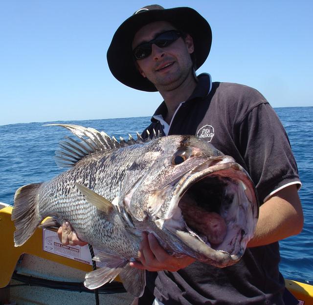 My big dhuie - Another angle My big dhuie - Another angle