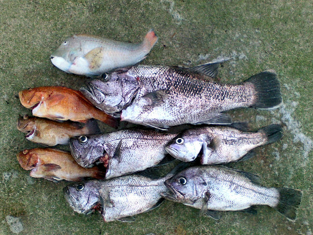 New spot pays off New spot pays off