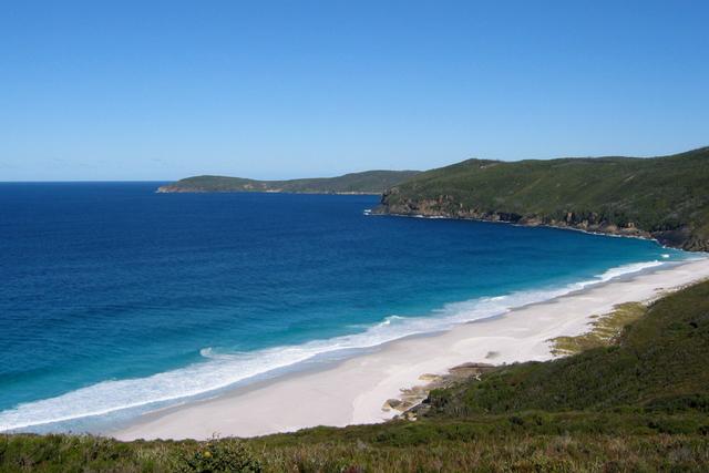 Dingo beach, Albany