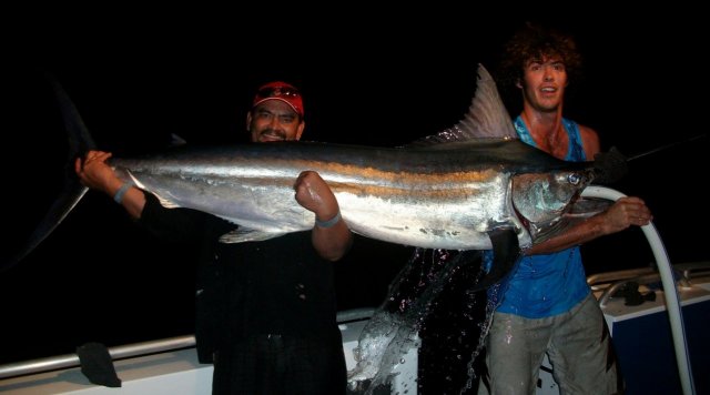 arafura blue black marlin arafura blue black marlin