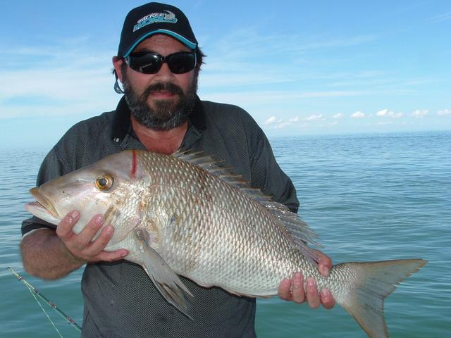 Big Spanglie Big Spanglie