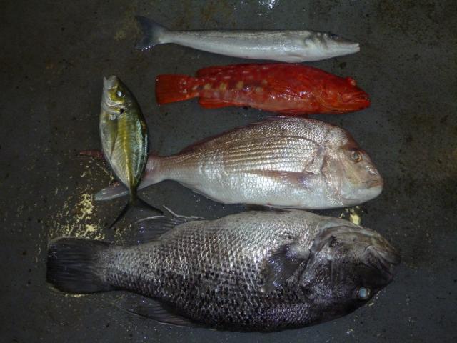 yesterdays bag yesterdays bag