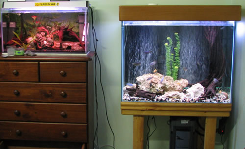 Other phot of tank Other phot of tank