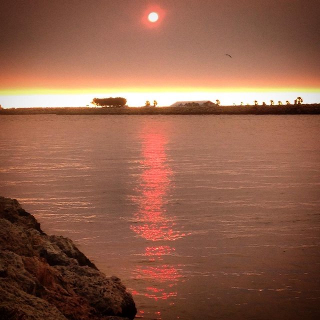 Freo Sunset Freo Sunset