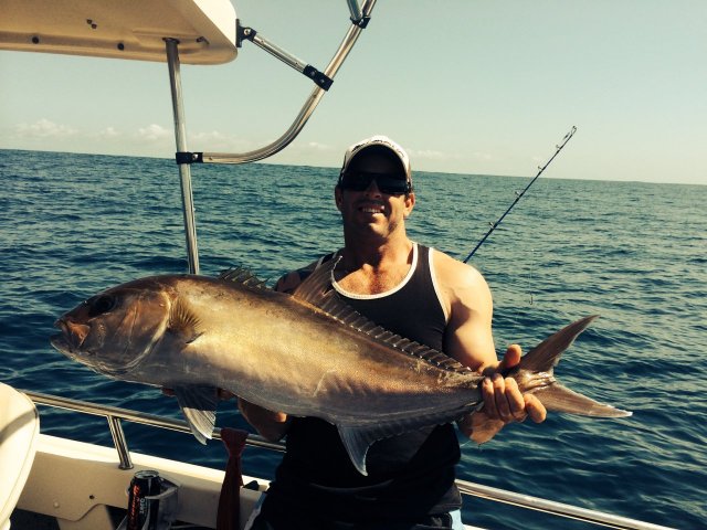 Sambo action off rotto Sambo action off rotto