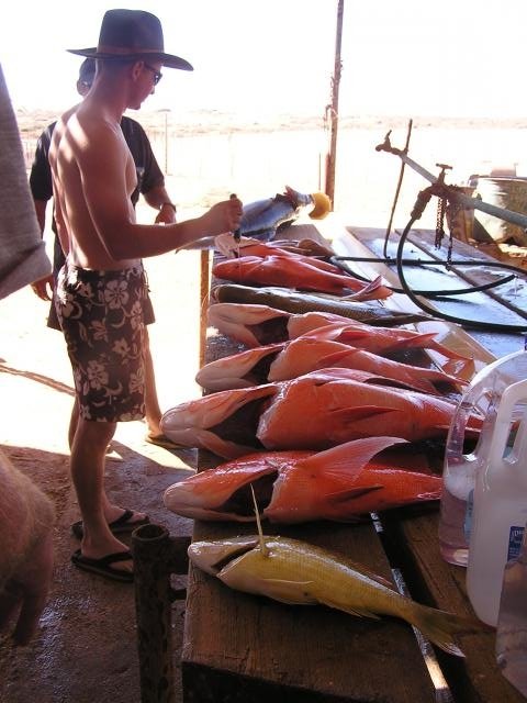 good days fish good days fish