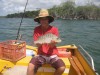 cooktown grunter