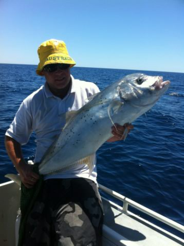 caught of rotto caught of rotto