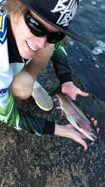 Afternoon rainbow trout!