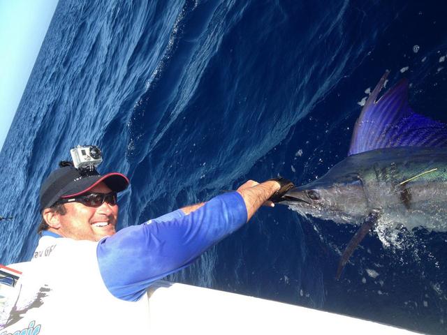 Little Stripey Little Stripey