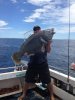 98cm blue grouper