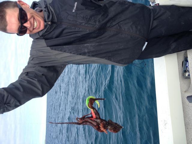 Even occys love big grubs Even occys love big grubs