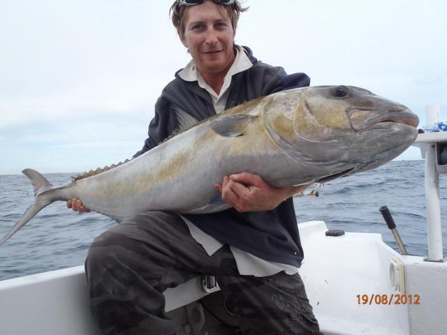 Inshore sambo on a livie. Inshore sambo on a livie.