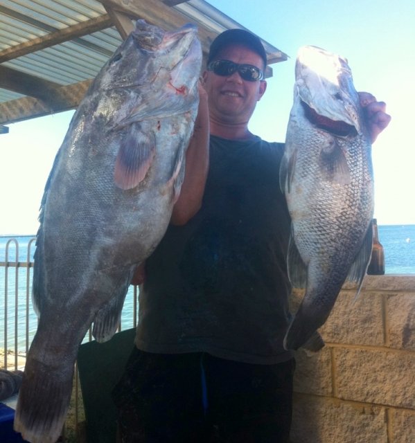 Couple of fish from the mangles bay comp