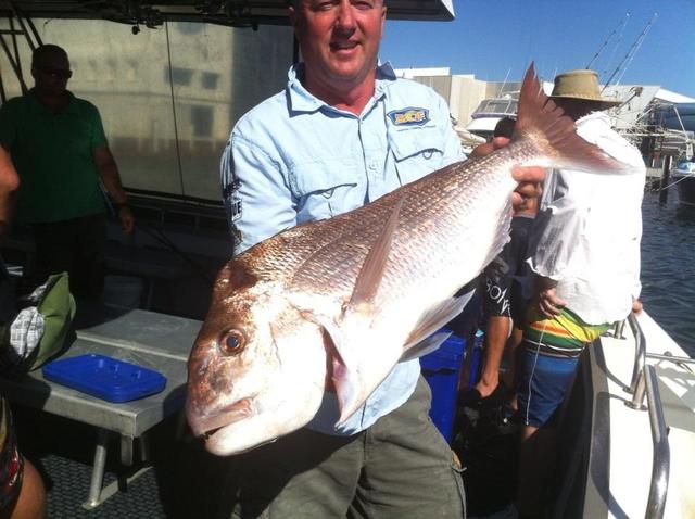 Fish of the day. Fish of the day.