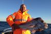 Mandurah Matt's Pink Snapper