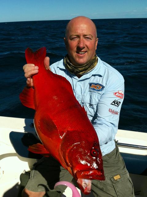 A nice coral trout from jurionbay 