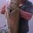 Swanriver Mully realeased