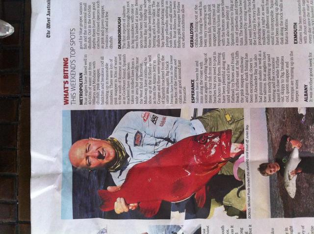 Video of Coral trout at jurian bay