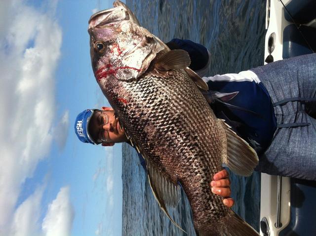 Big swell but still worth a look out Big swell but still worth a look out