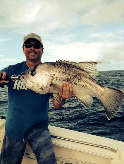 Abrohlos dhu Abrohlos dhu