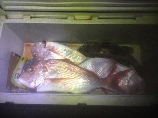 Bay fishing Bay fishing