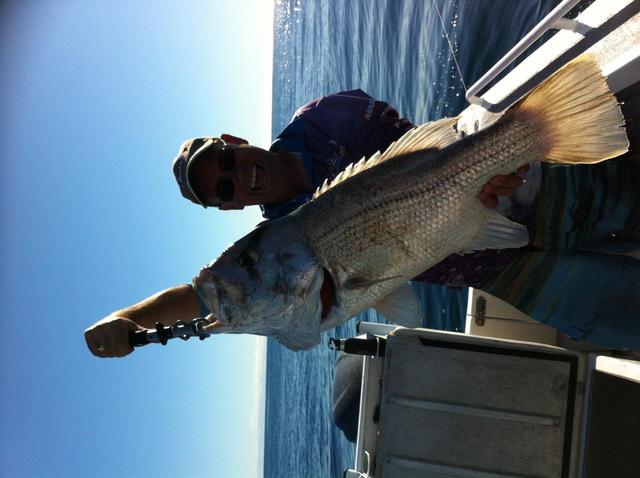 Jigged mindarie dhu Jigged mindarie dhu